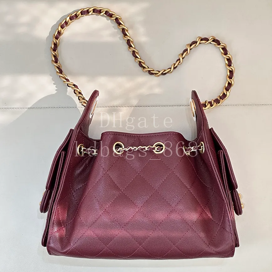 Mirror quality 25 Mini Hobo ba - Luxurious Bag ulasan dan harga
